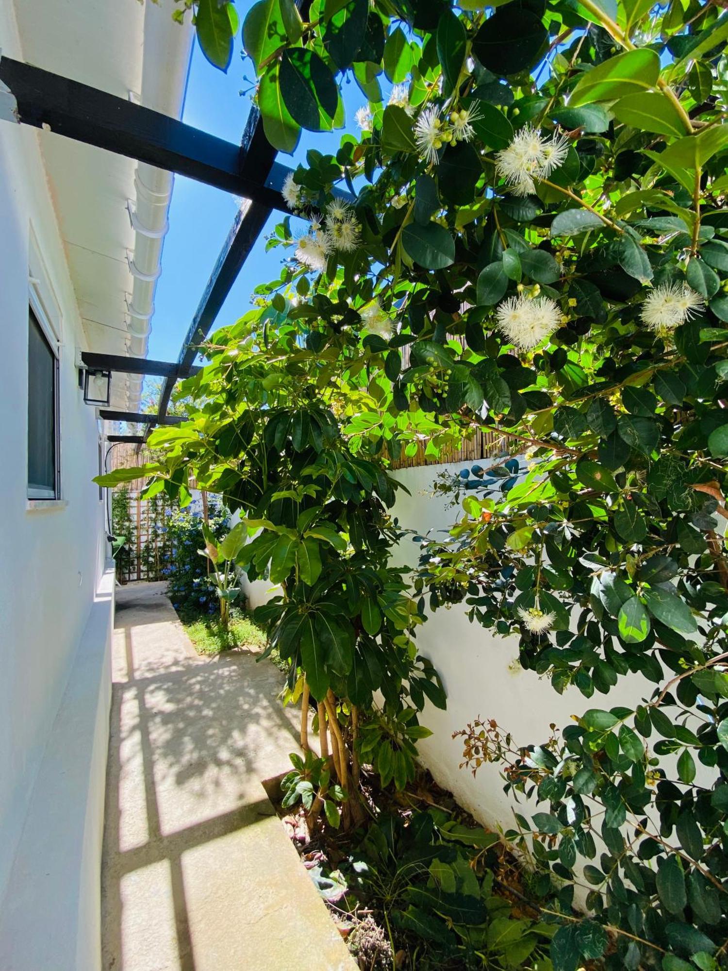 Gem Of Viso Villa Setúbal Kültér fotó